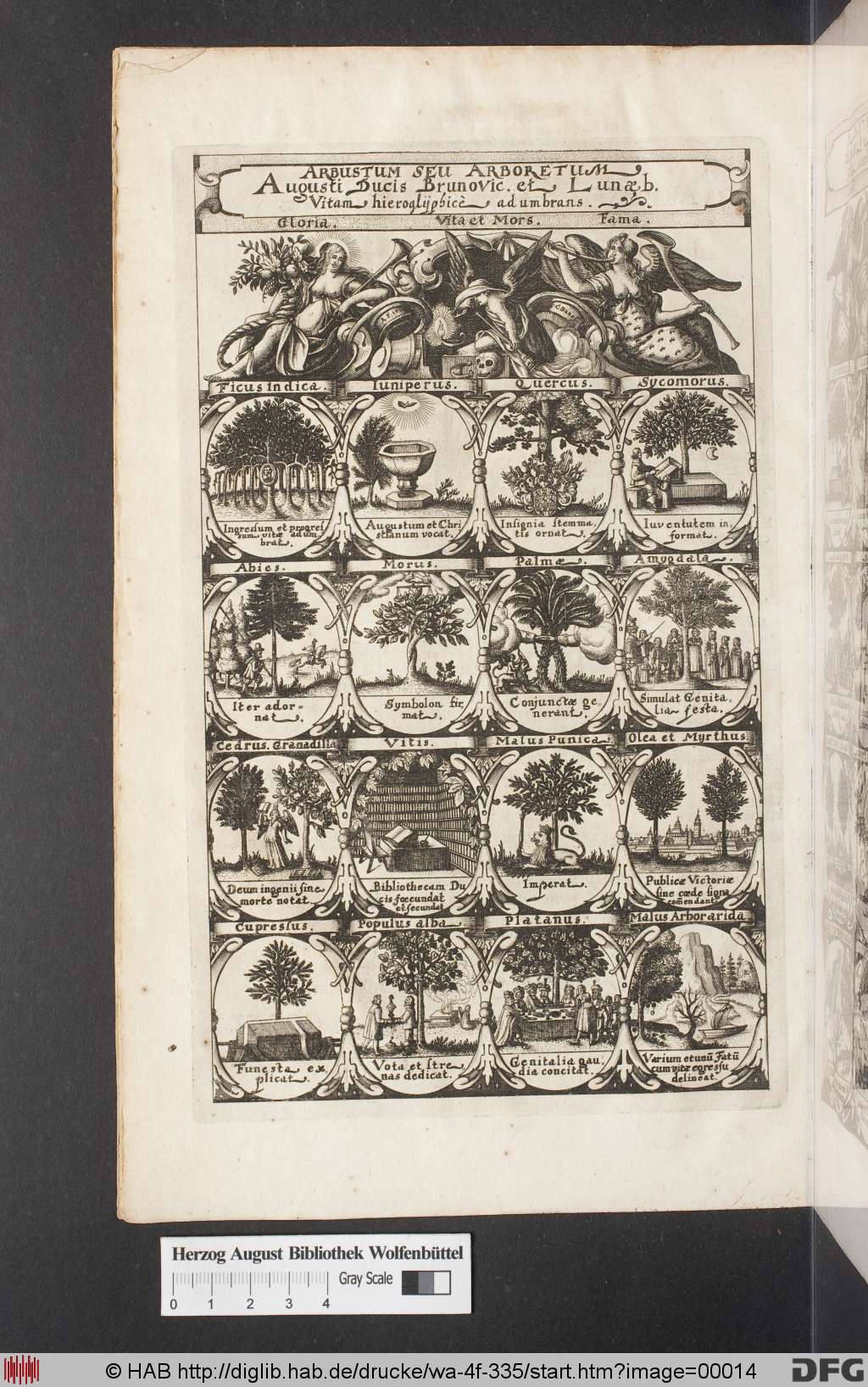 http://diglib.hab.de/drucke/wa-4f-335/00014.jpg