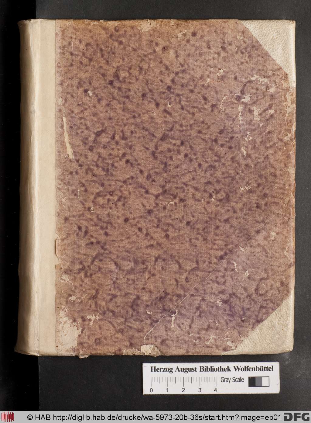 http://diglib.hab.de/drucke/wa-5973-20b-36s/eb01.jpg