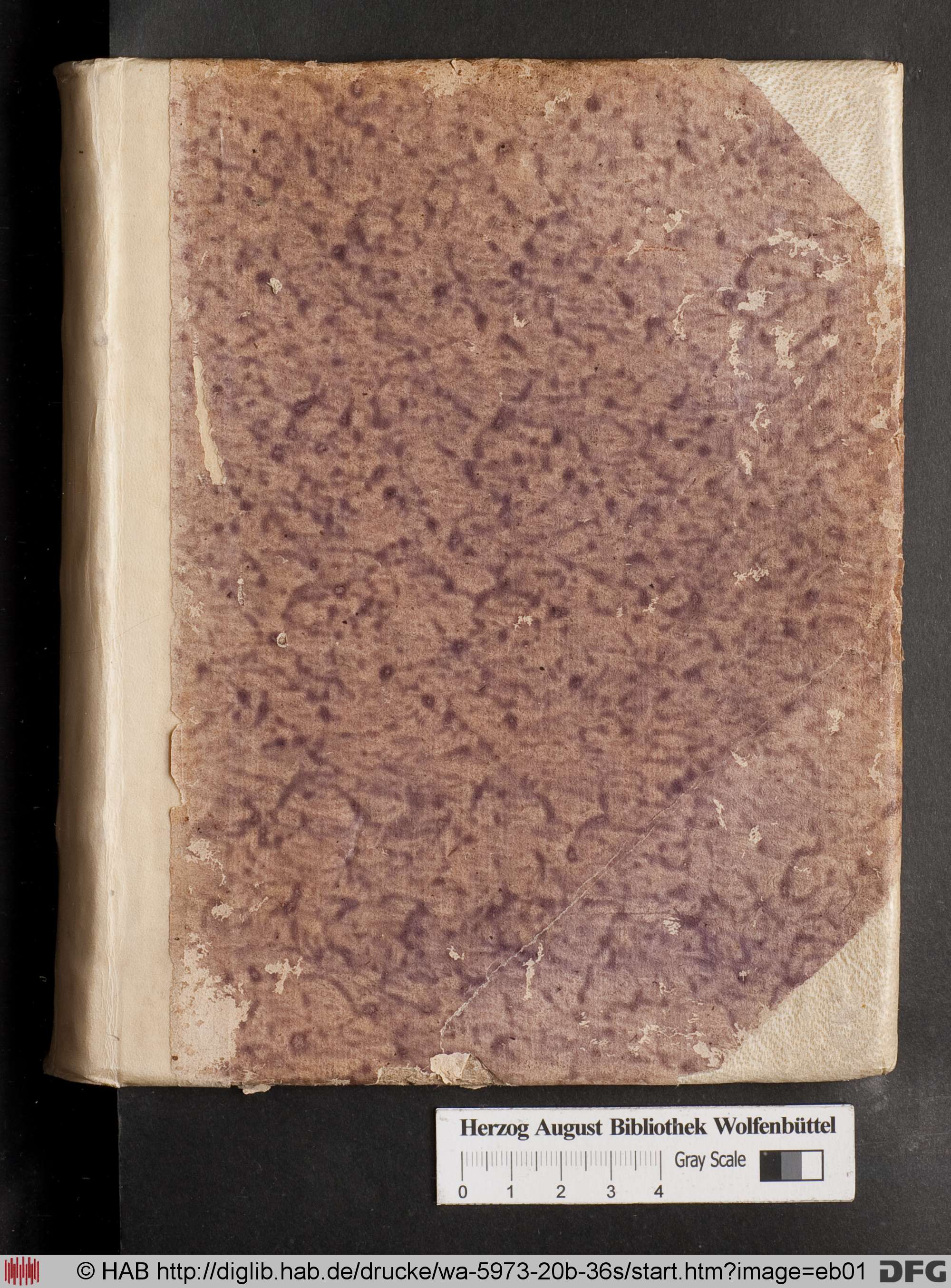 http://diglib.hab.de/drucke/wa-5973-20b-36s/max/eb01.jpg