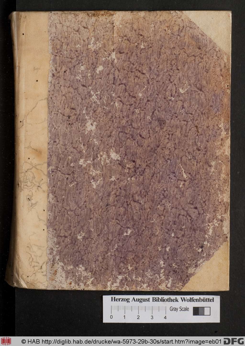http://diglib.hab.de/drucke/wa-5973-29b-30s/eb01.jpg