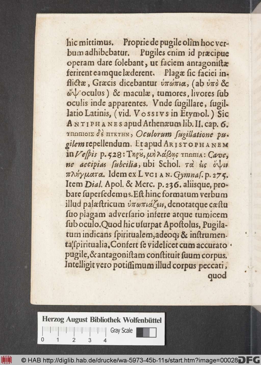 http://diglib.hab.de/drucke/wa-5973-45b-11s/00028.jpg