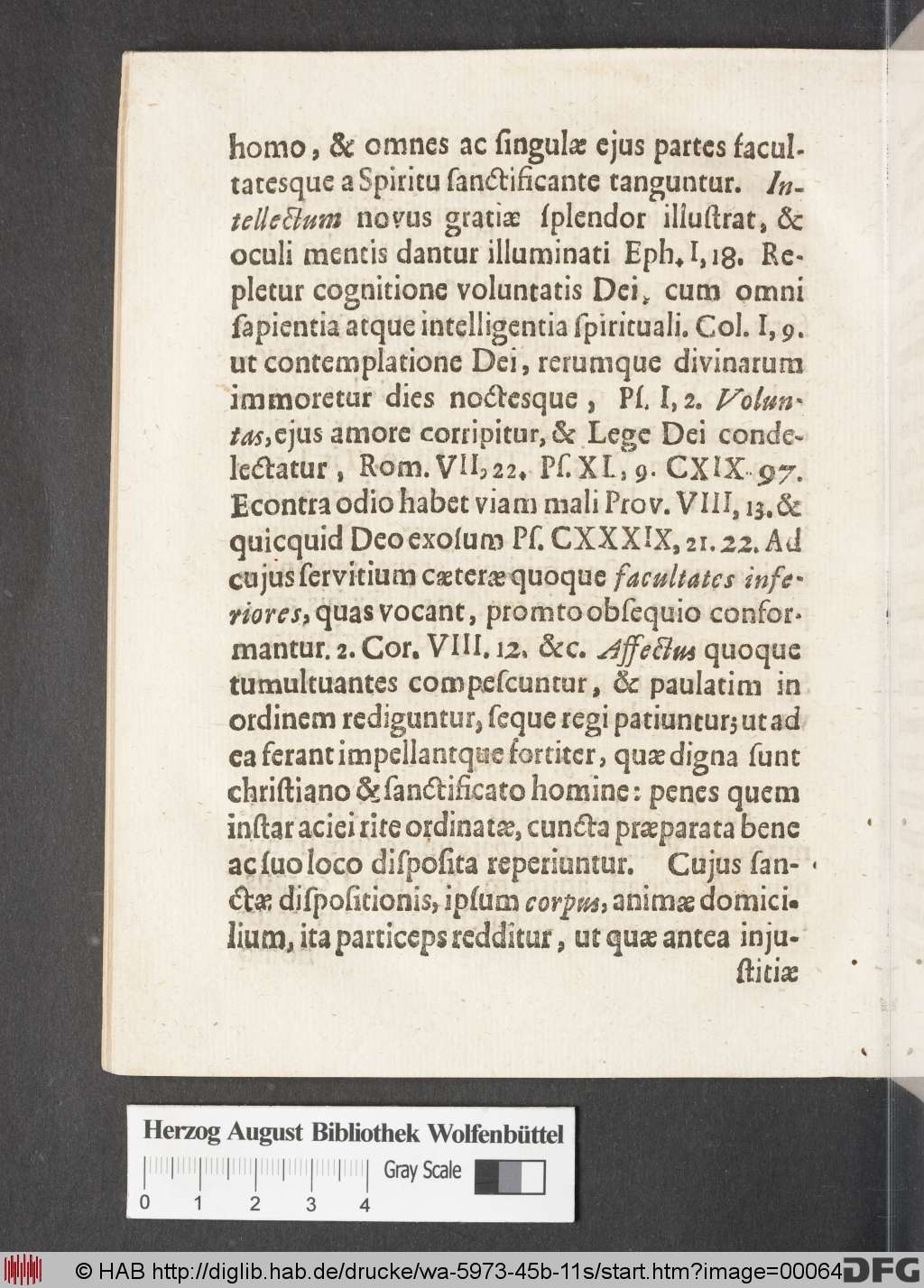 http://diglib.hab.de/drucke/wa-5973-45b-11s/00064.jpg