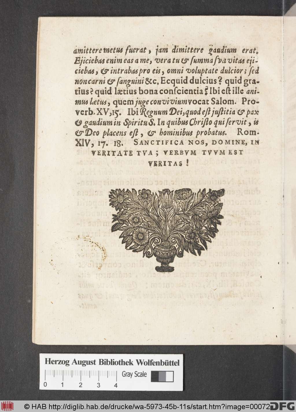 http://diglib.hab.de/drucke/wa-5973-45b-11s/00072.jpg