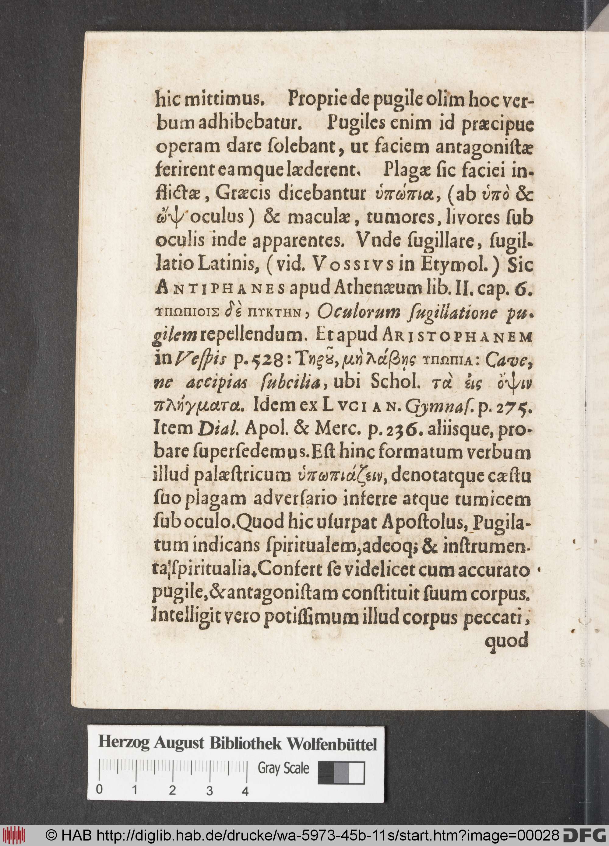 http://diglib.hab.de/drucke/wa-5973-45b-11s/max/00028.jpg