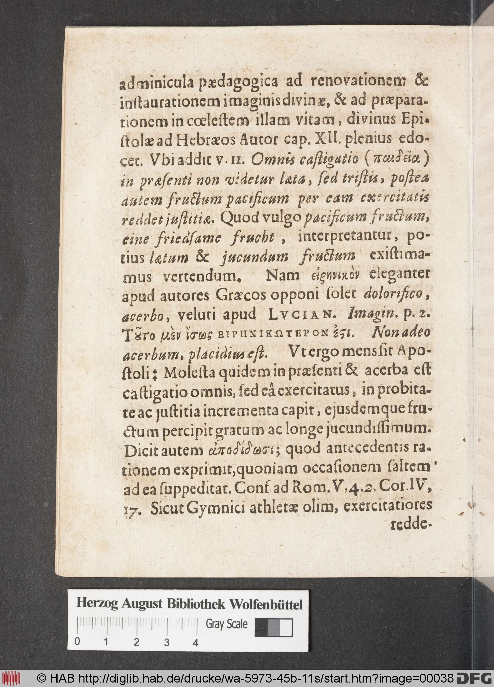http://diglib.hab.de/drucke/wa-5973-45b-11s/max/00038.jpg