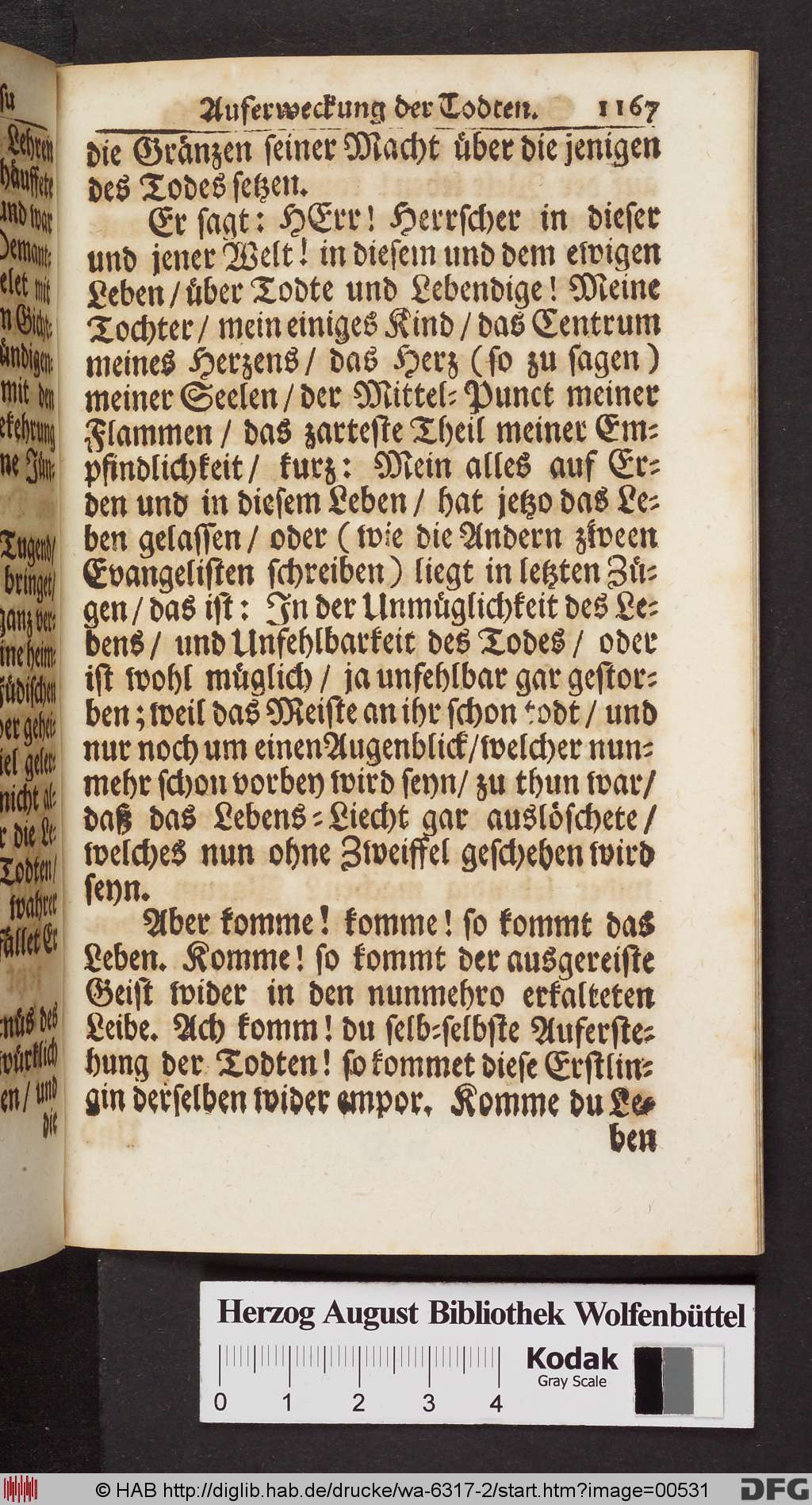 http://diglib.hab.de/drucke/wa-6317-2/00531.jpg