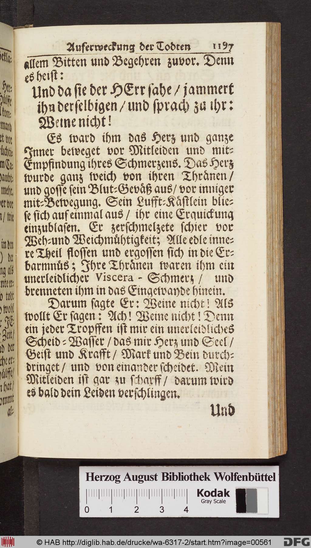 http://diglib.hab.de/drucke/wa-6317-2/00561.jpg
