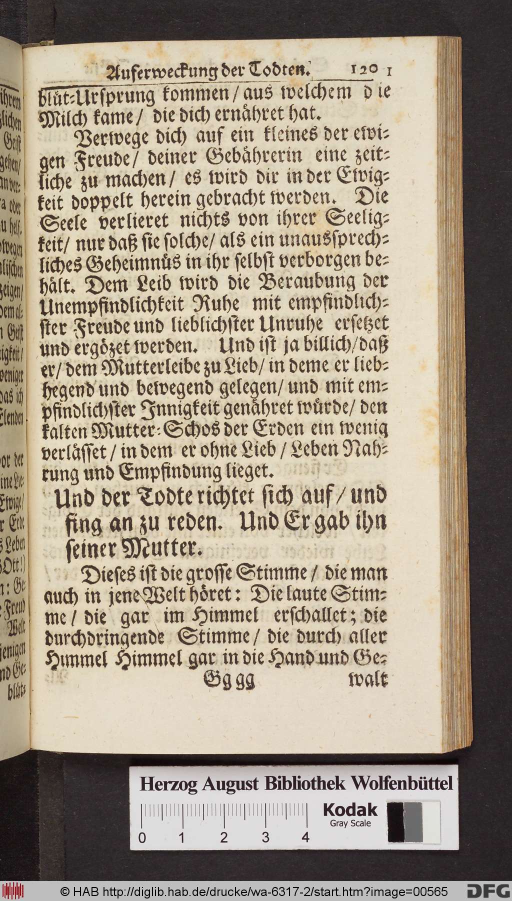 http://diglib.hab.de/drucke/wa-6317-2/00565.jpg