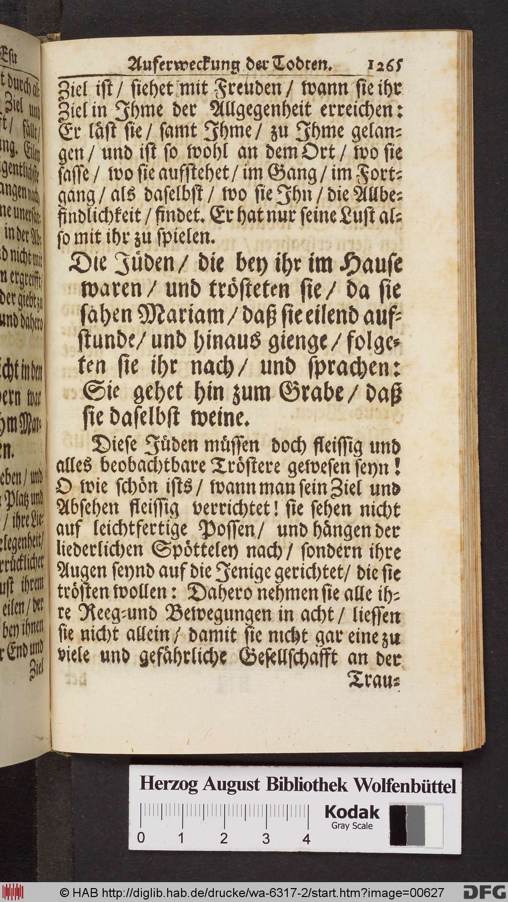 http://diglib.hab.de/drucke/wa-6317-2/00627.jpg