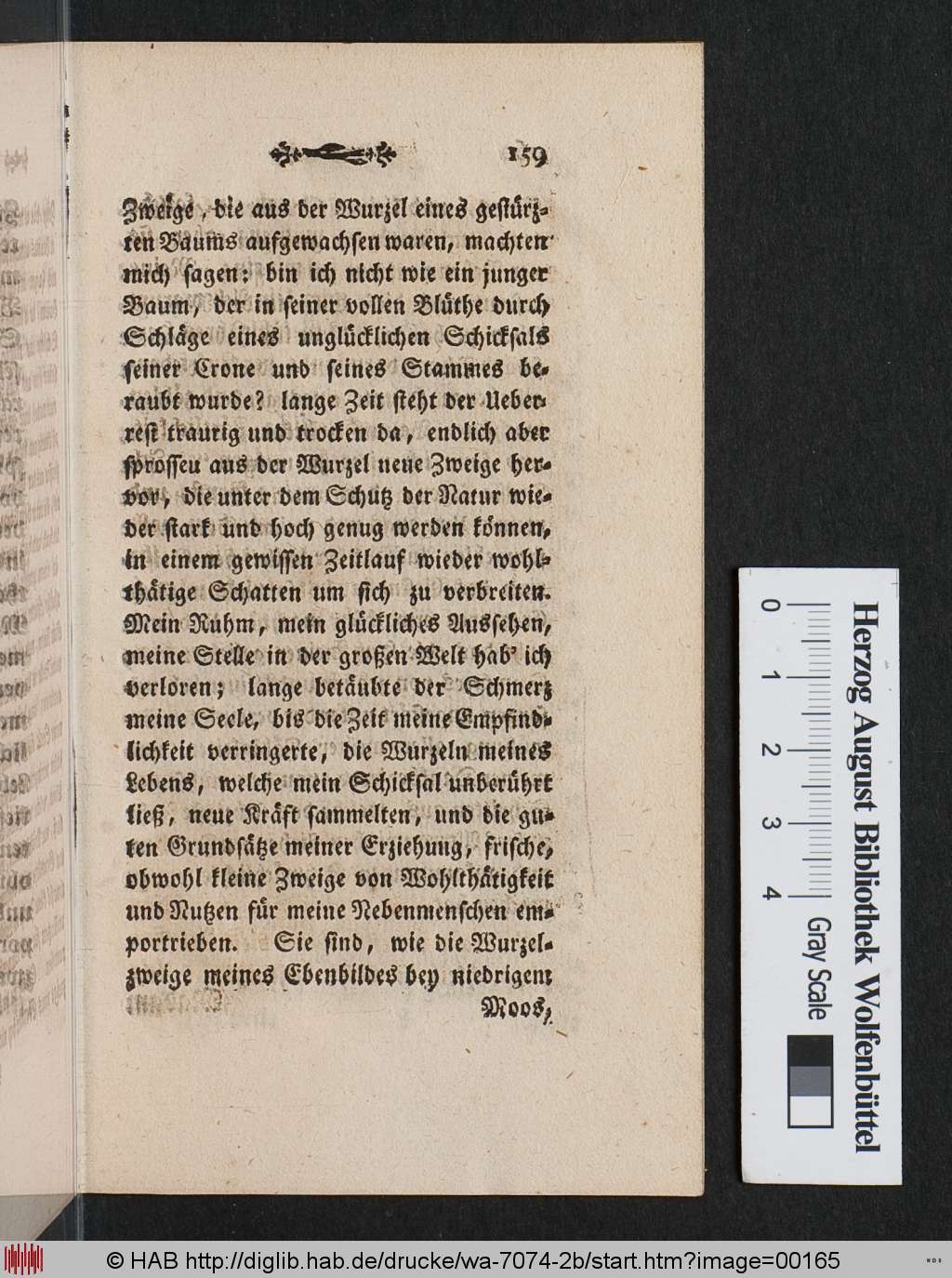 http://diglib.hab.de/drucke/wa-7074-2b/00165.jpg