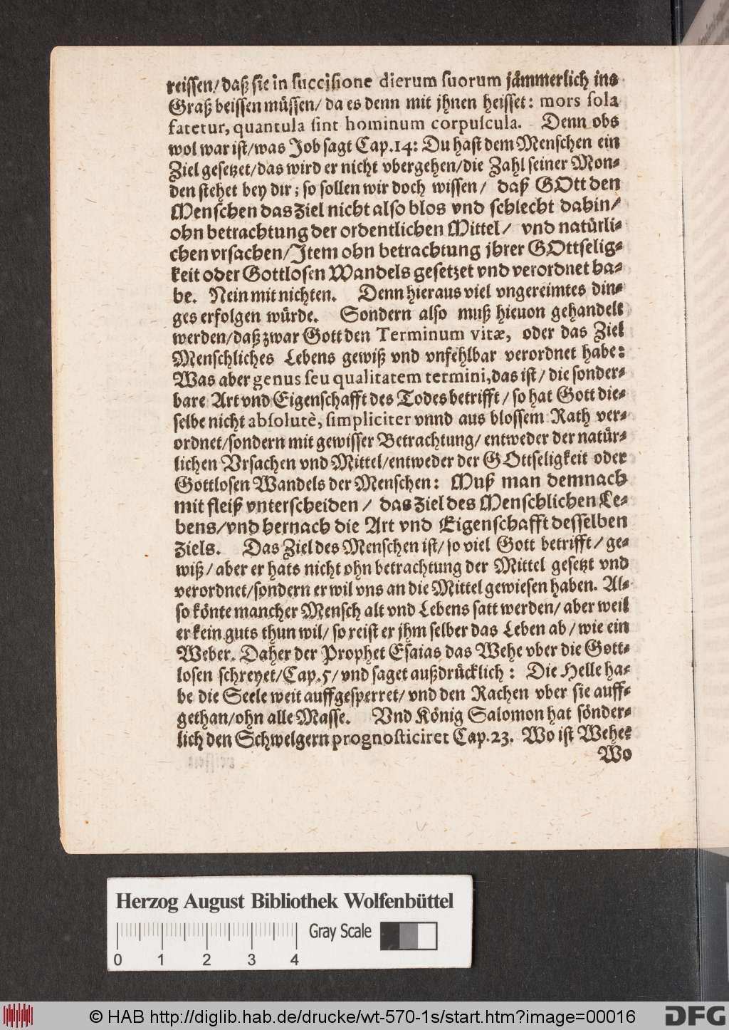 http://diglib.hab.de/drucke/wt-570-1s/00016.jpg