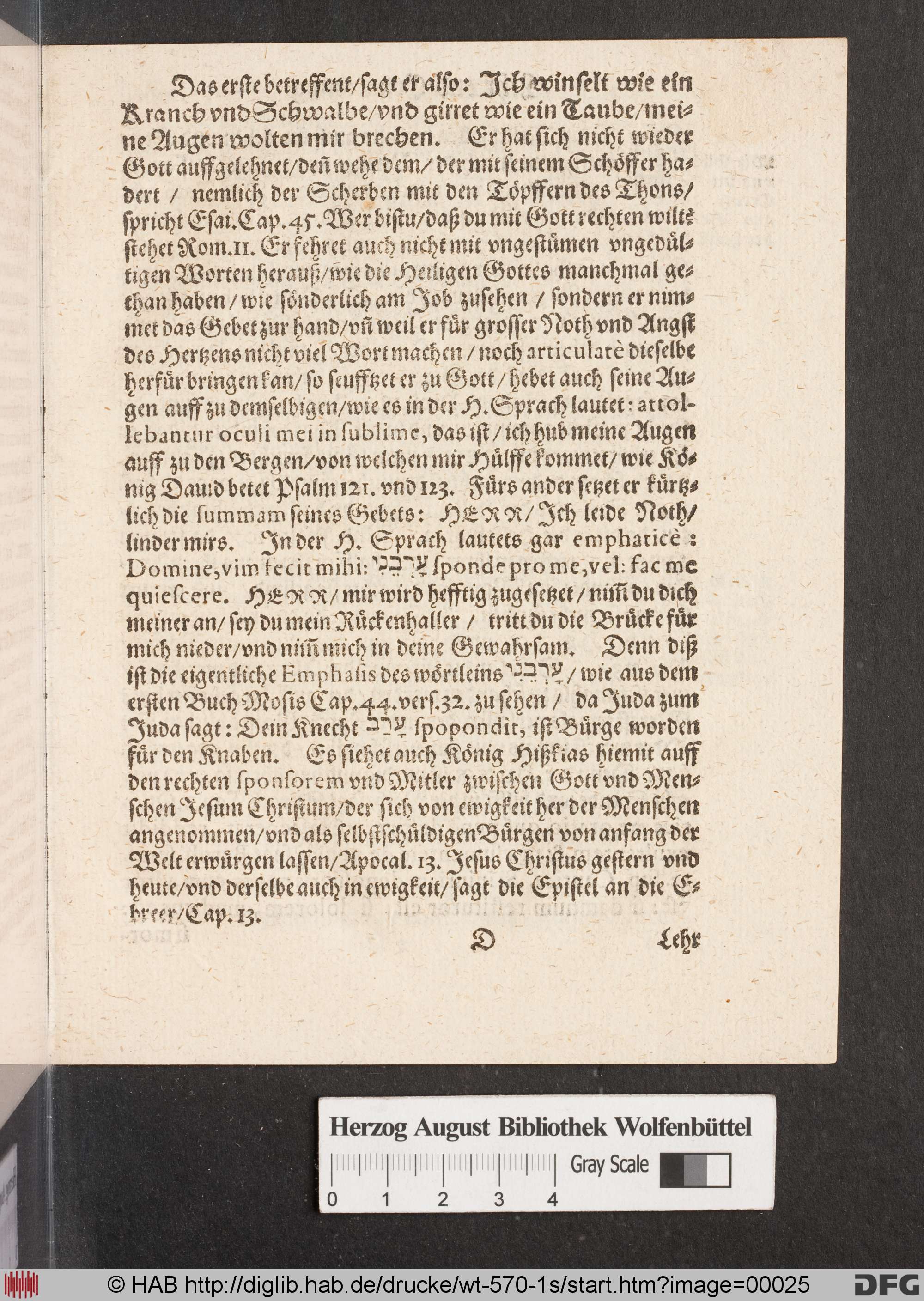 http://diglib.hab.de/drucke/wt-570-1s/max/00025.jpg