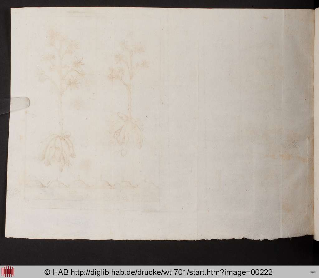 http://diglib.hab.de/drucke/wt-701/00222.jpg