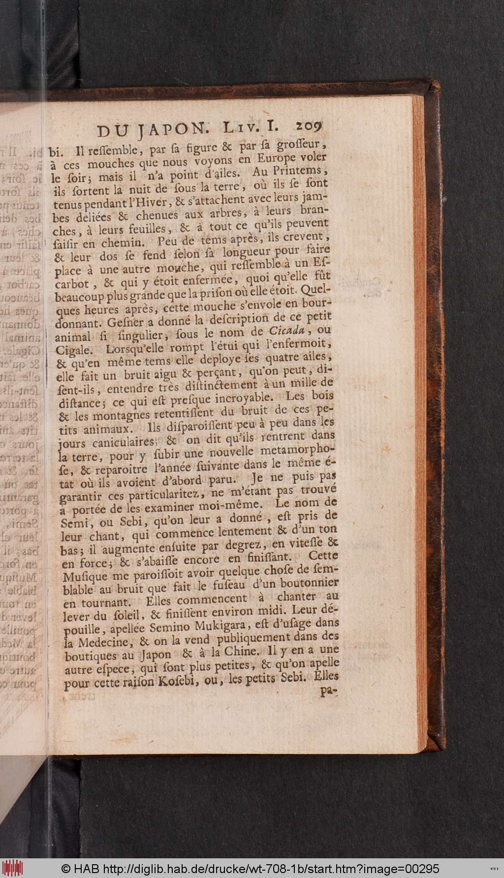 http://diglib.hab.de/drucke/wt-708-1b/00295.jpg