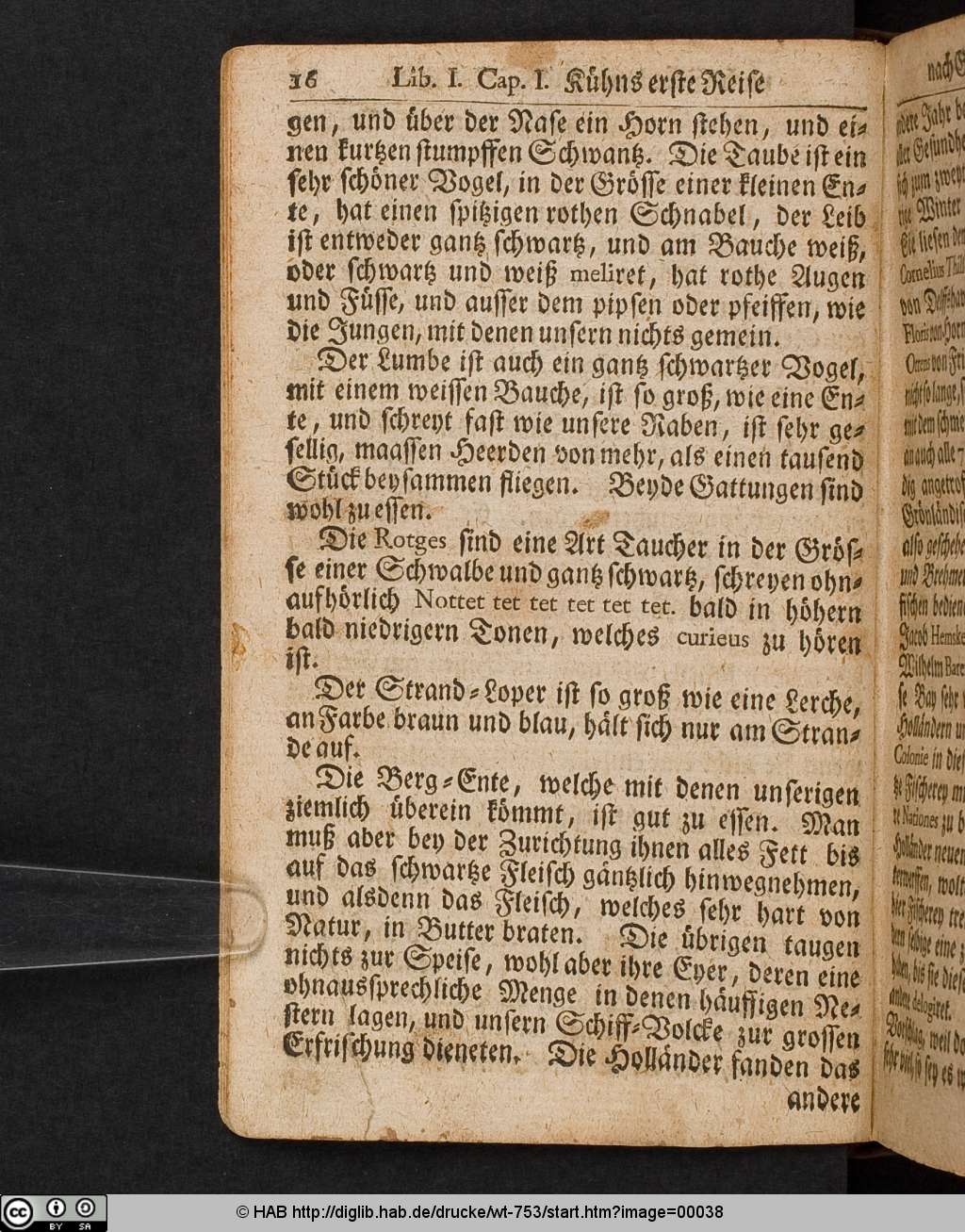 http://diglib.hab.de/drucke/wt-753/00038.jpg