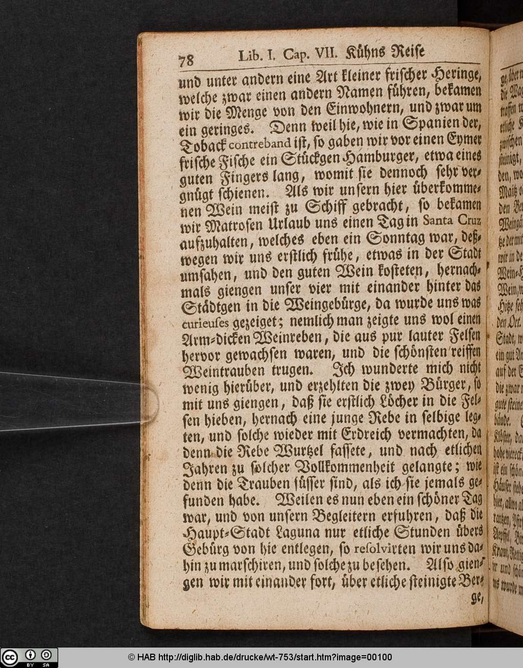 http://diglib.hab.de/drucke/wt-753/00100.jpg