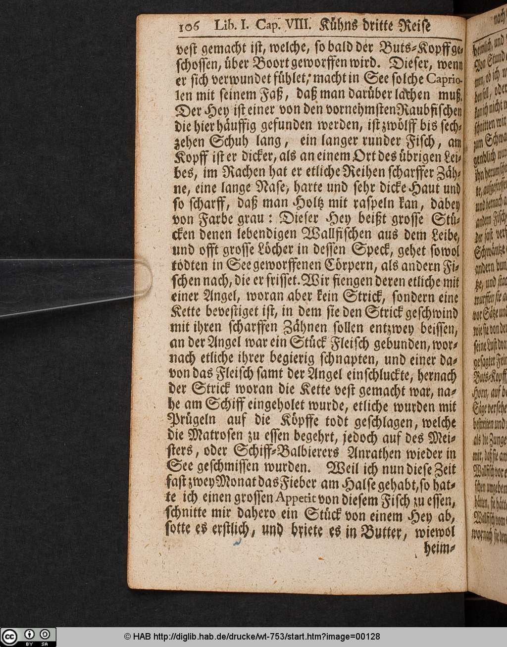http://diglib.hab.de/drucke/wt-753/00128.jpg