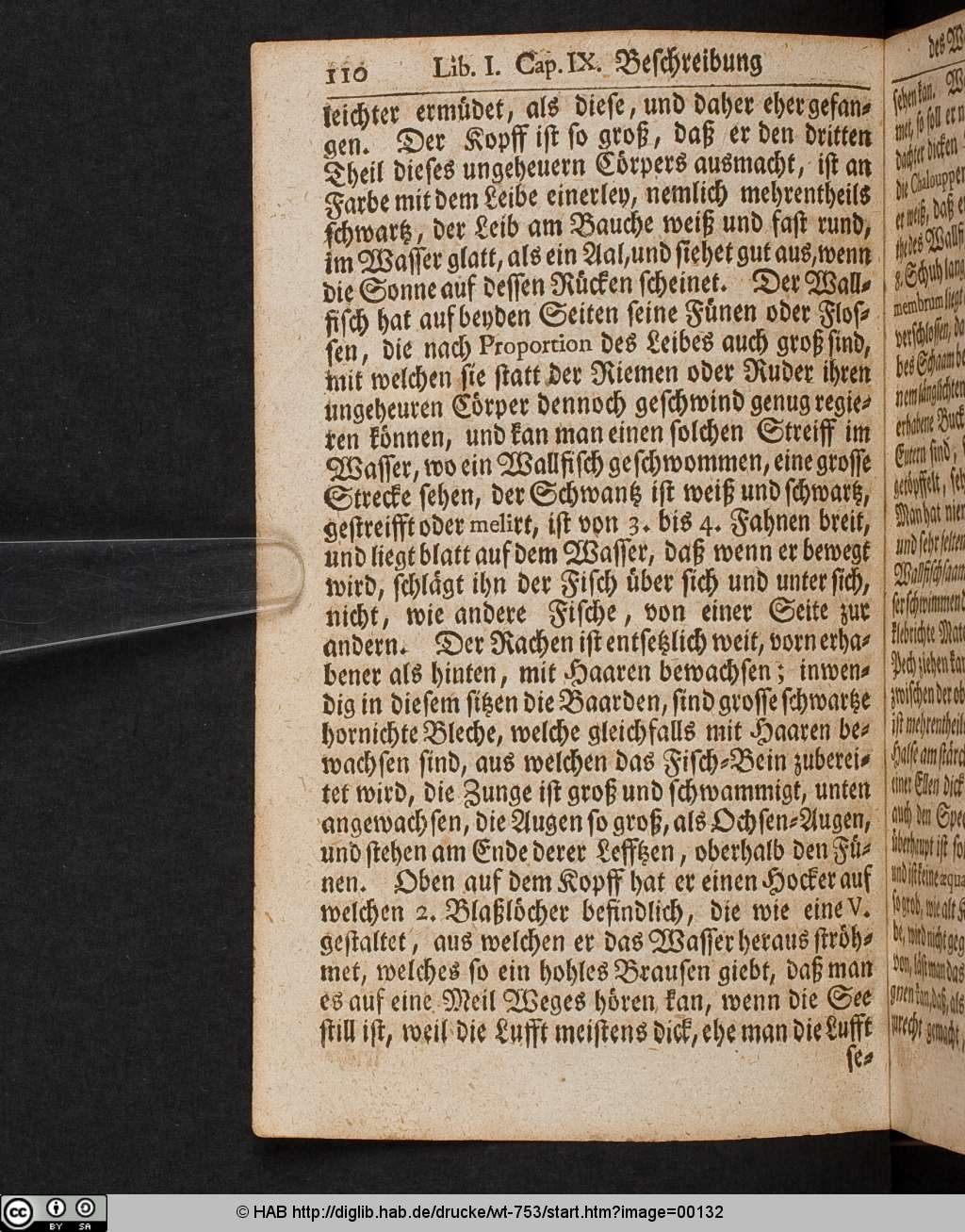 http://diglib.hab.de/drucke/wt-753/00132.jpg