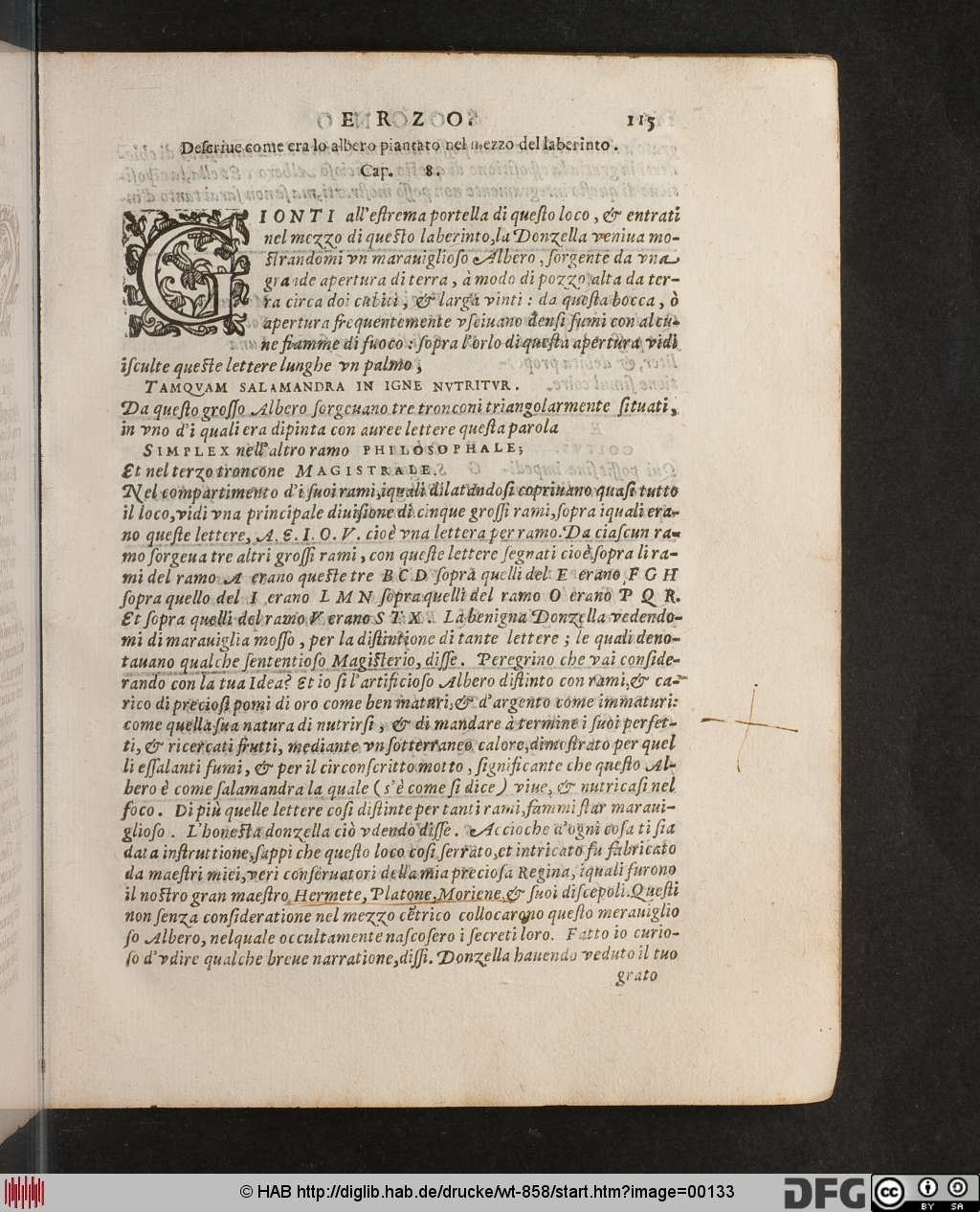 http://diglib.hab.de/drucke/wt-858/00133.jpg