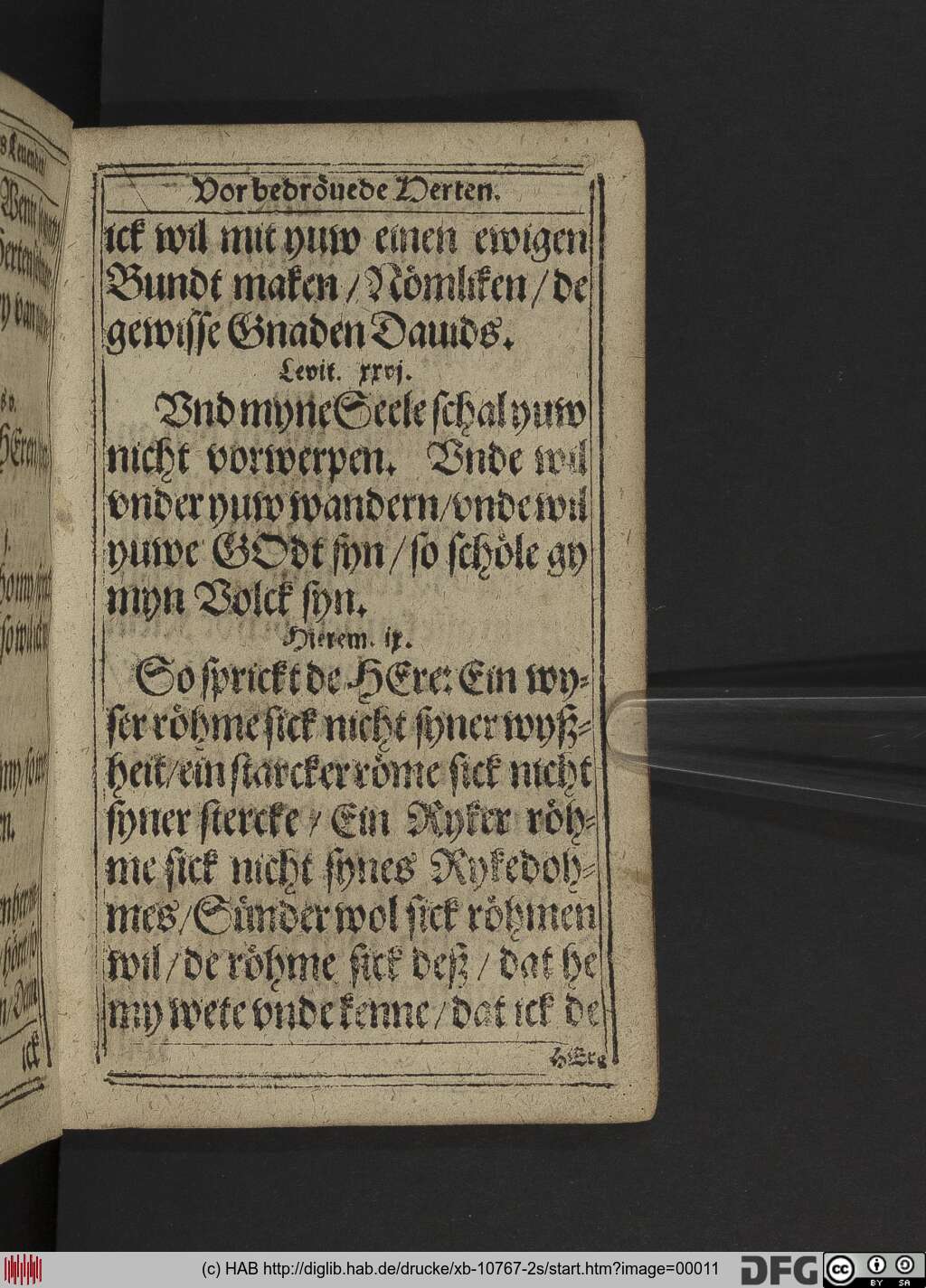 http://diglib.hab.de/drucke/xb-10767-2s/00011.jpg