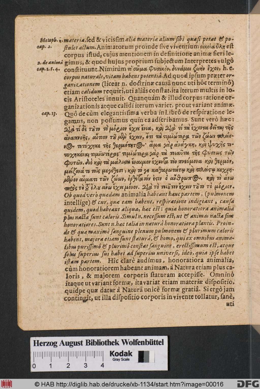 http://diglib.hab.de/drucke/xb-1134/00016.jpg