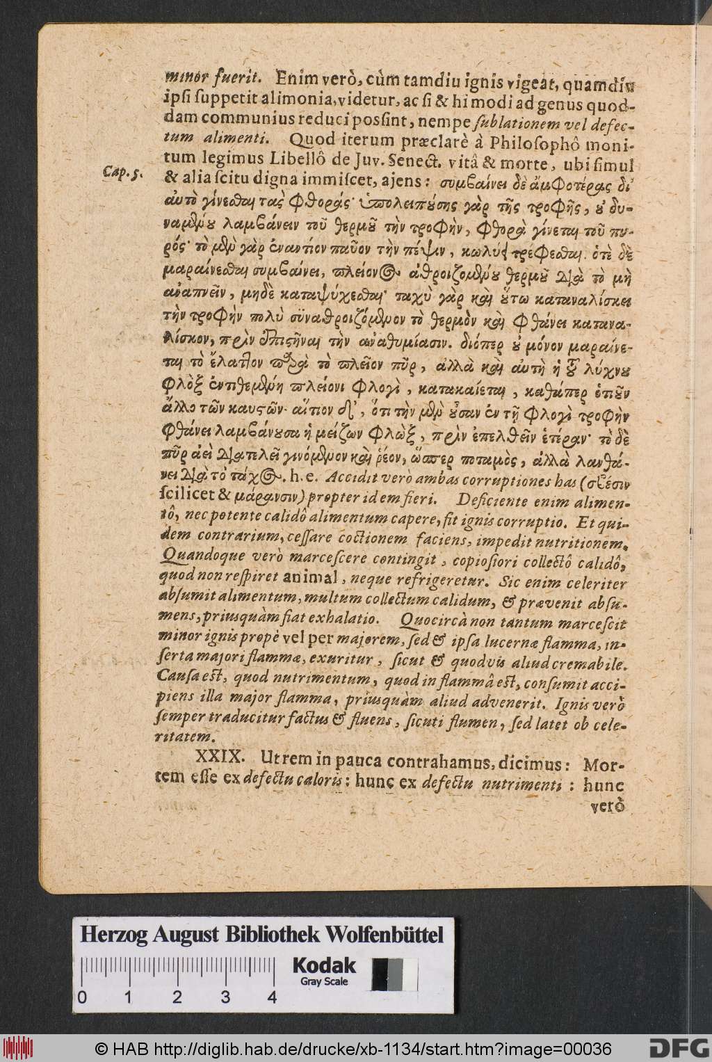 http://diglib.hab.de/drucke/xb-1134/00036.jpg
