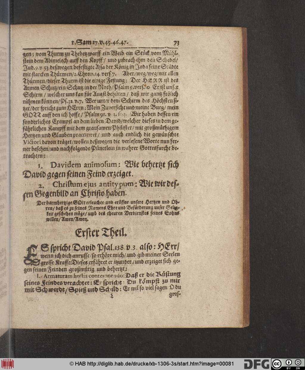 http://diglib.hab.de/drucke/xb-1306-3s/00081.jpg