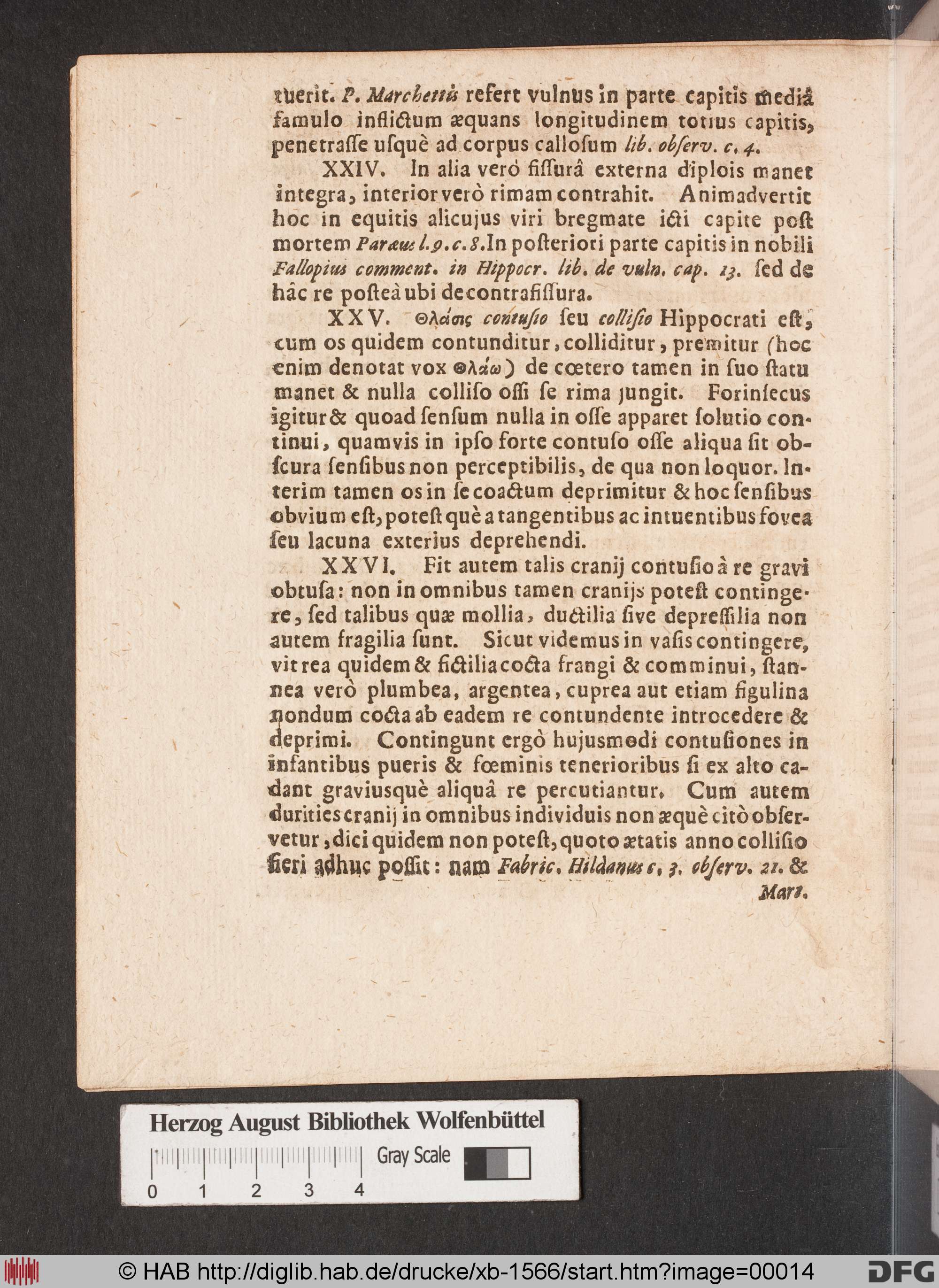 http://diglib.hab.de/drucke/xb-1566/max/00014.jpg