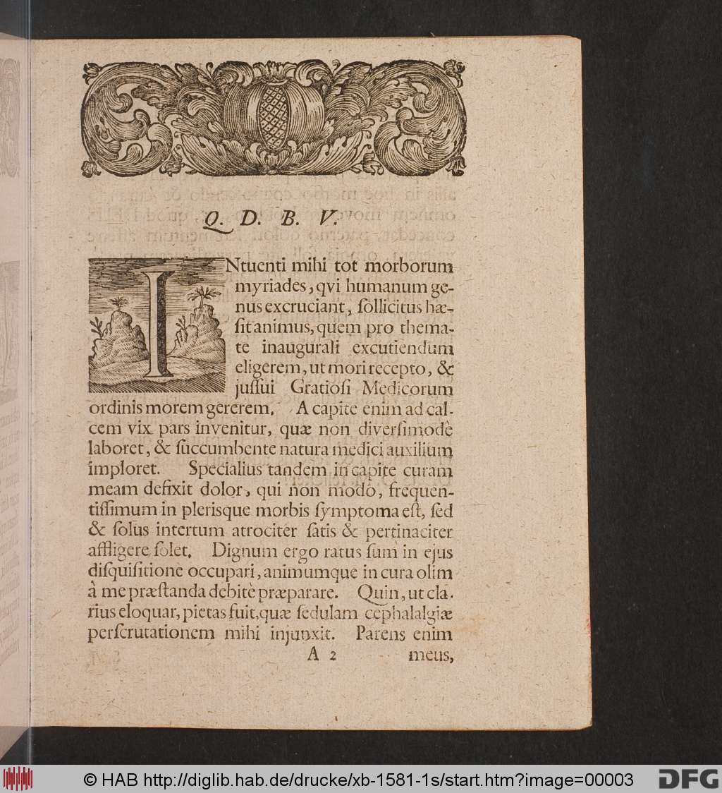 http://diglib.hab.de/drucke/xb-1581-1s/00003.jpg