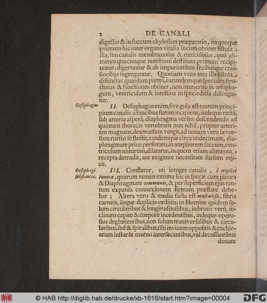 http://diglib.hab.de/drucke/xb-1616/00004.jpg