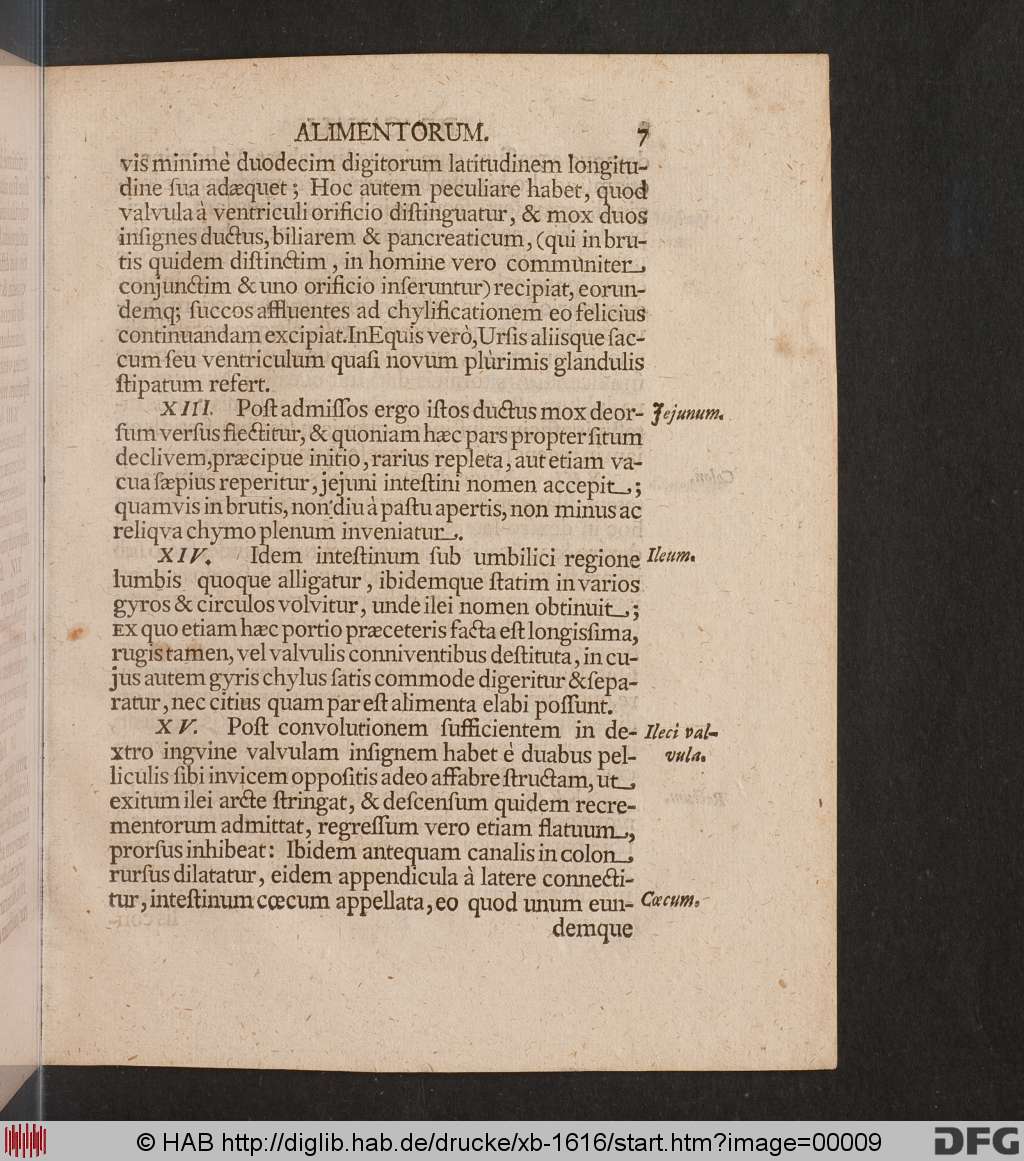 http://diglib.hab.de/drucke/xb-1616/00009.jpg