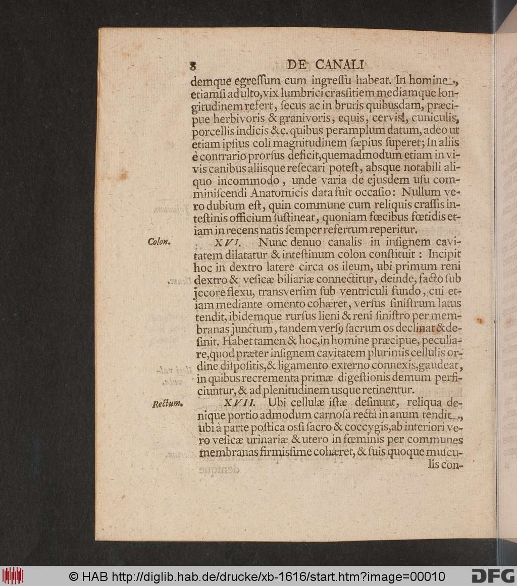 http://diglib.hab.de/drucke/xb-1616/00010.jpg