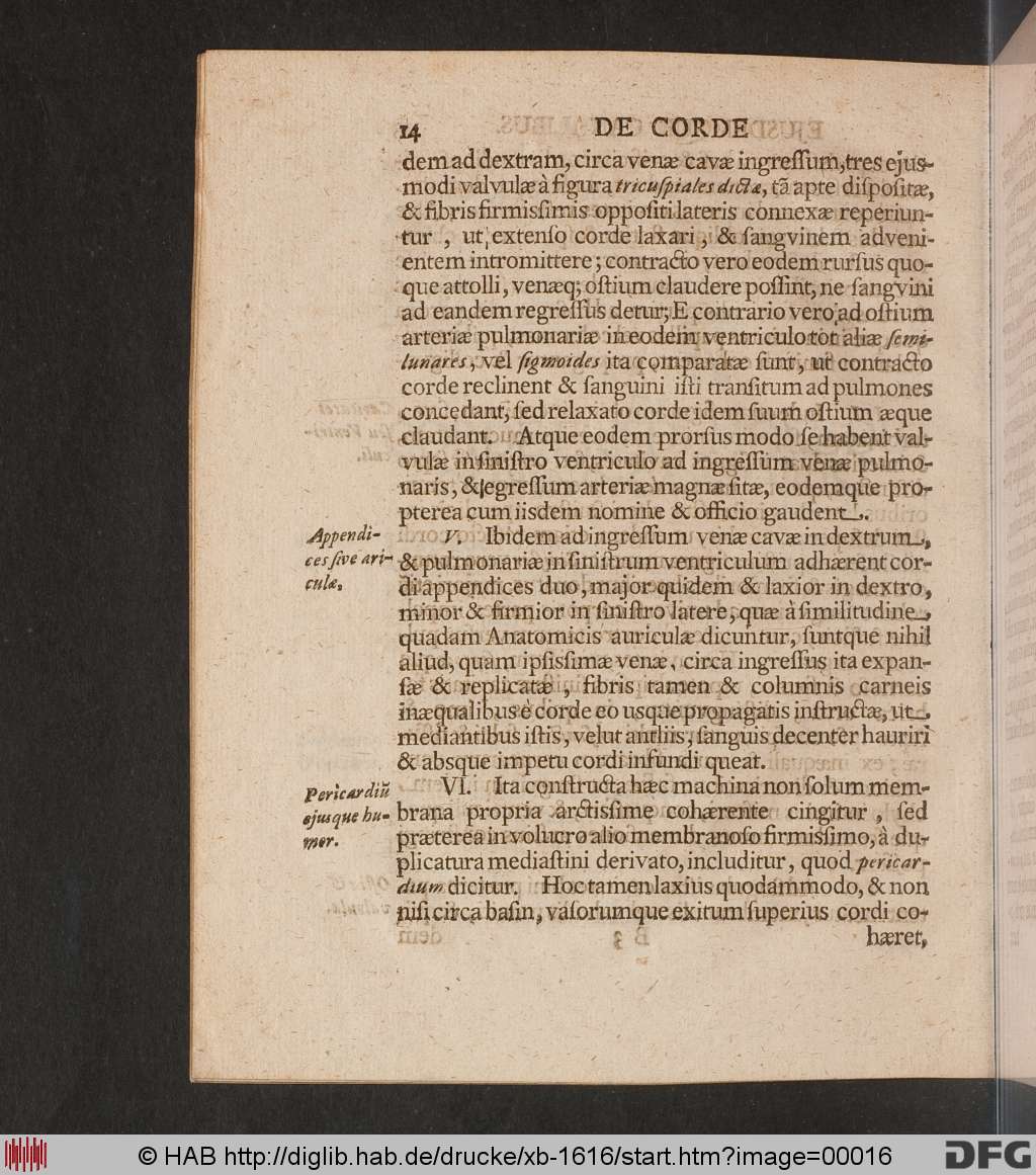 http://diglib.hab.de/drucke/xb-1616/00016.jpg