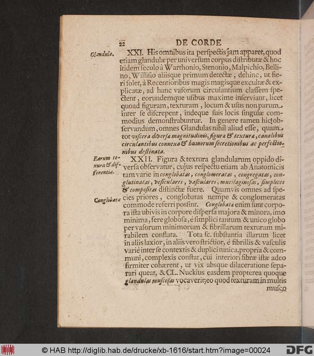 http://diglib.hab.de/drucke/xb-1616/00024.jpg