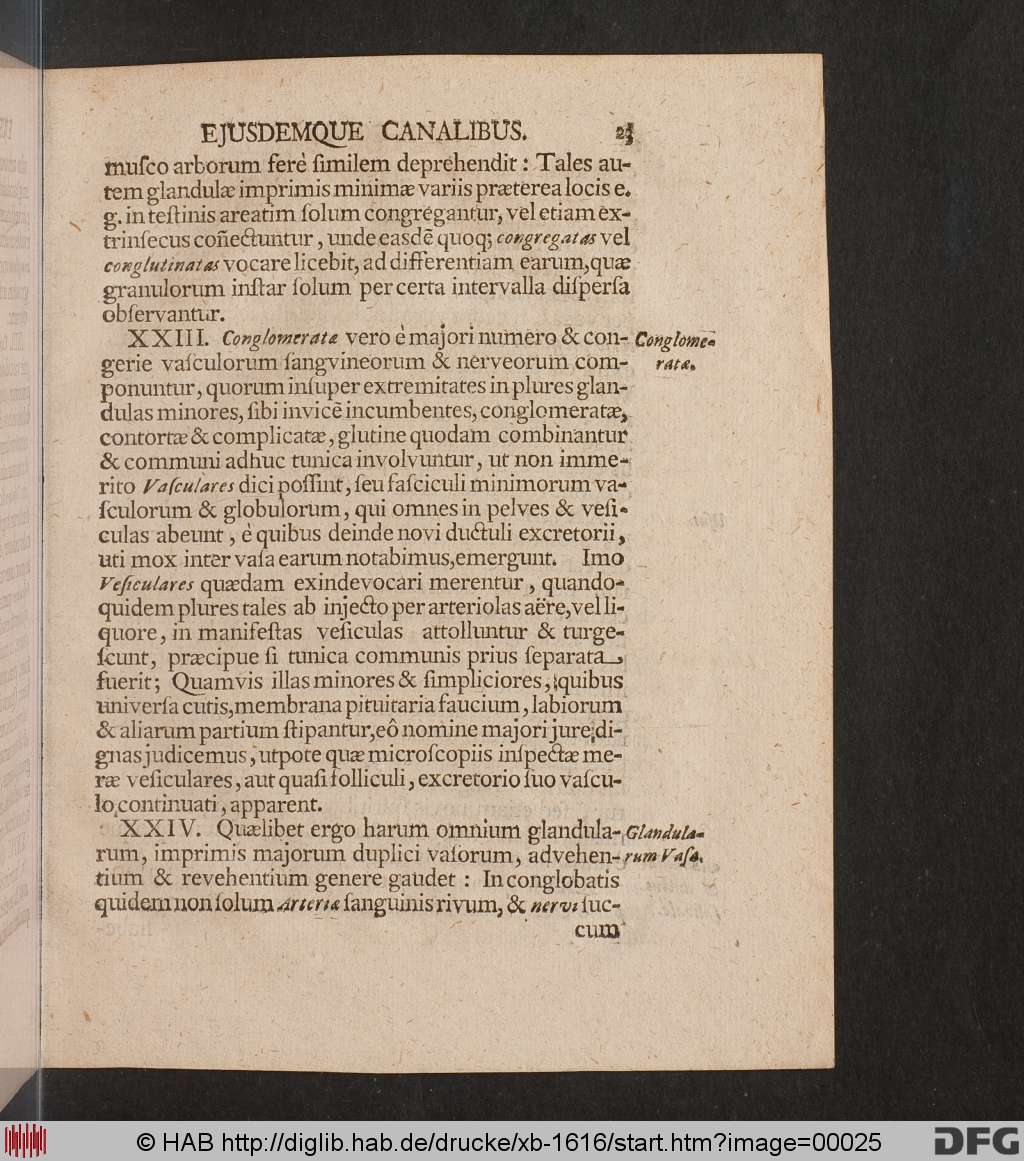 http://diglib.hab.de/drucke/xb-1616/00025.jpg