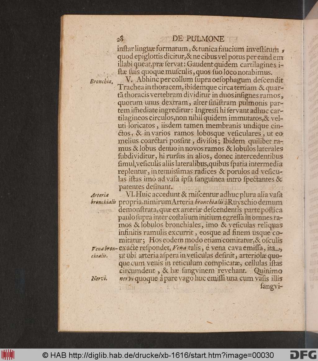 http://diglib.hab.de/drucke/xb-1616/00030.jpg
