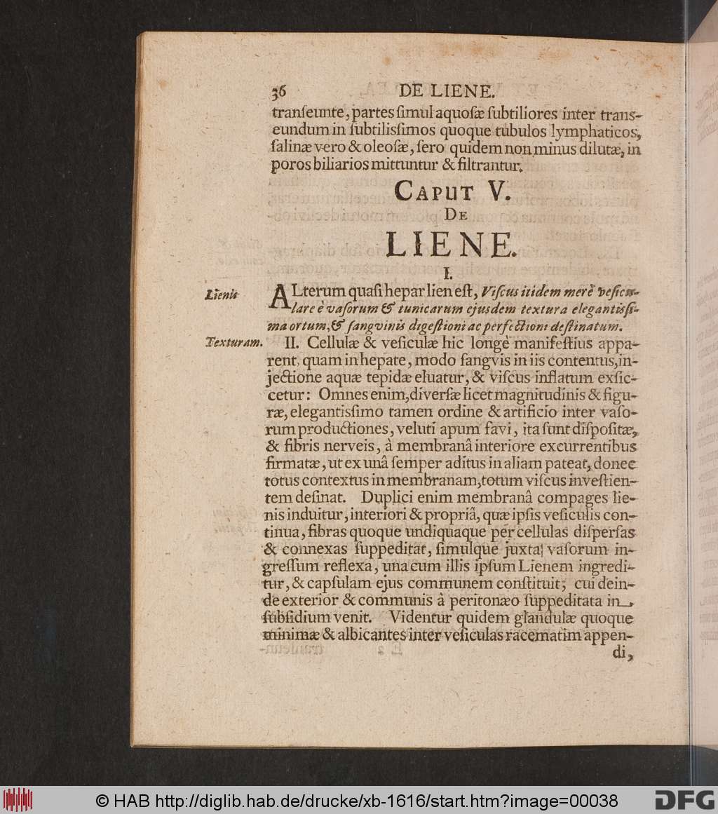 http://diglib.hab.de/drucke/xb-1616/00038.jpg