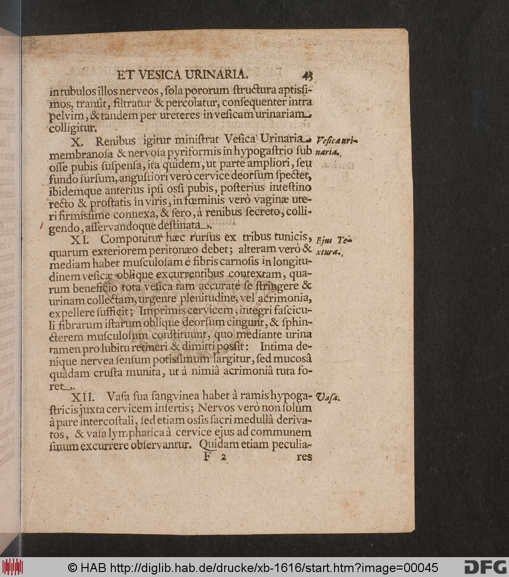http://diglib.hab.de/drucke/xb-1616/00045.jpg