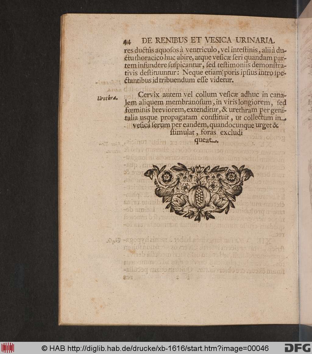 http://diglib.hab.de/drucke/xb-1616/00046.jpg