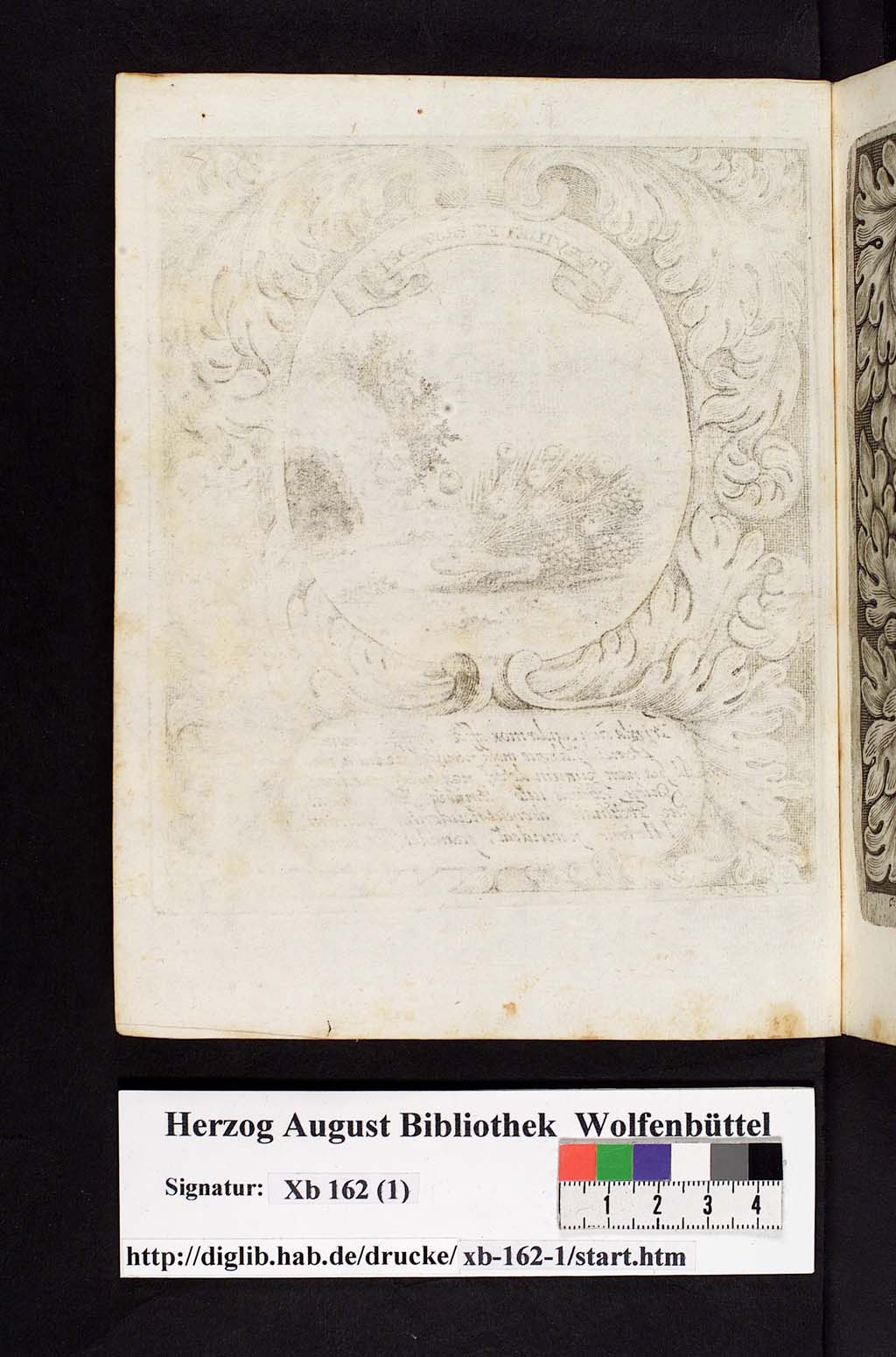 http://diglib.hab.de/drucke/xb-162-1/00049.jpg
