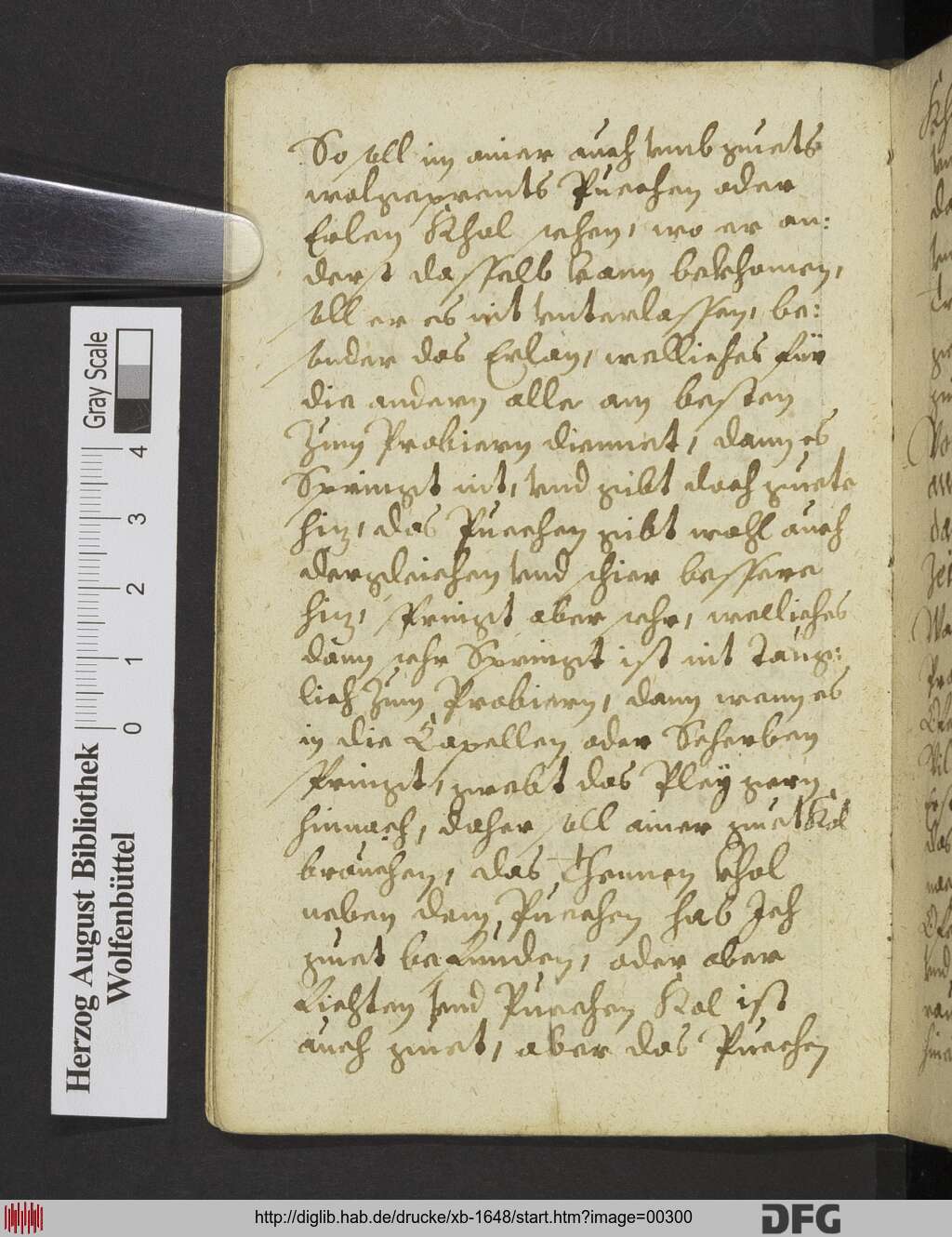 http://diglib.hab.de/drucke/xb-1648/00300.jpg