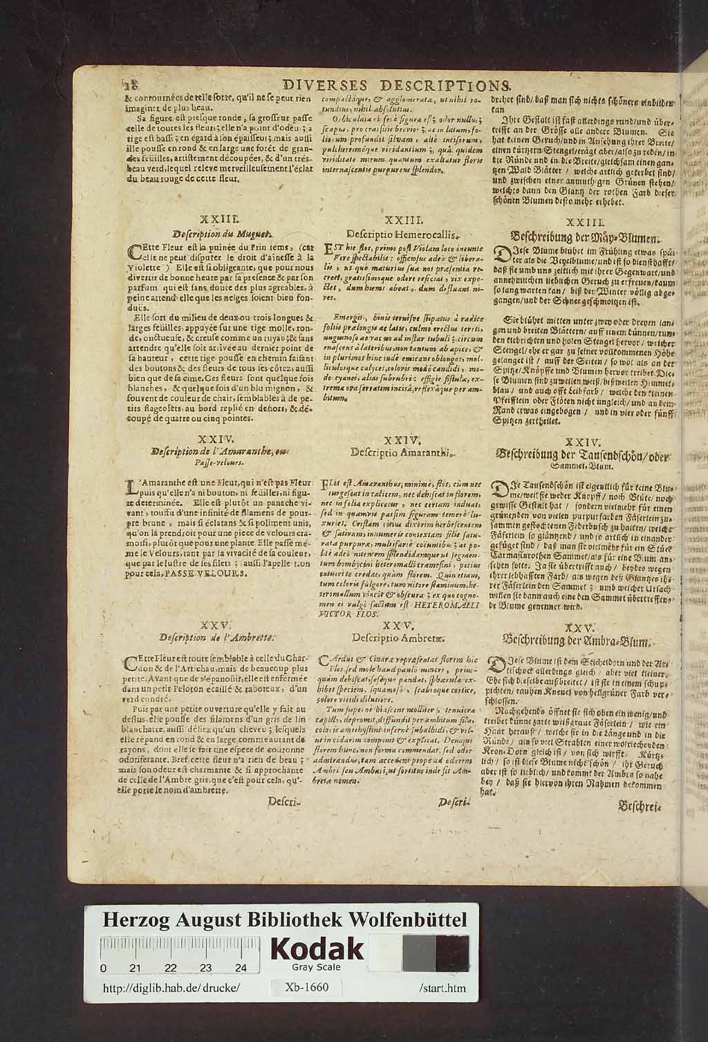 http://diglib.hab.de/drucke/xb-1660/01722.jpg