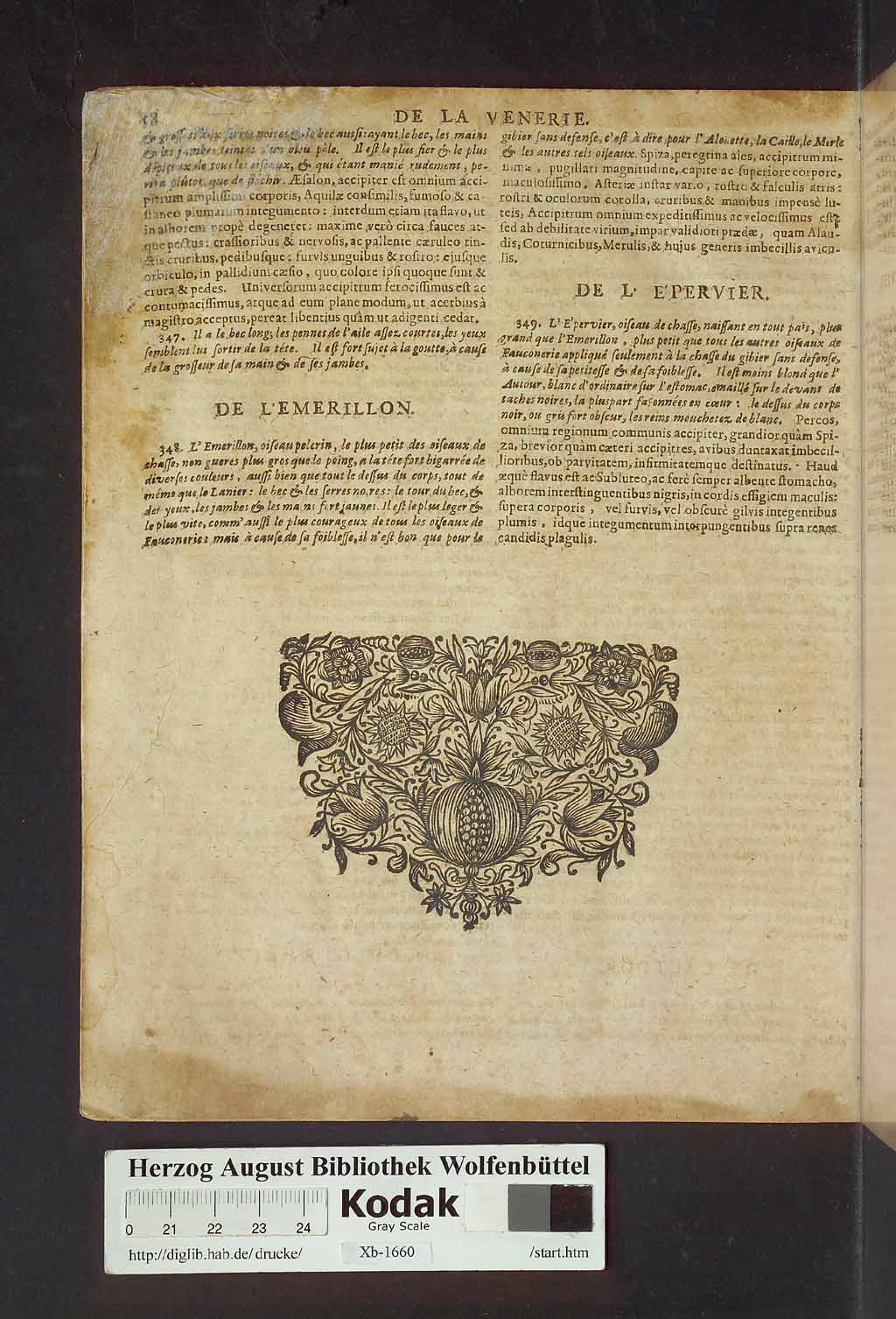 http://diglib.hab.de/drucke/xb-1660/01760.jpg