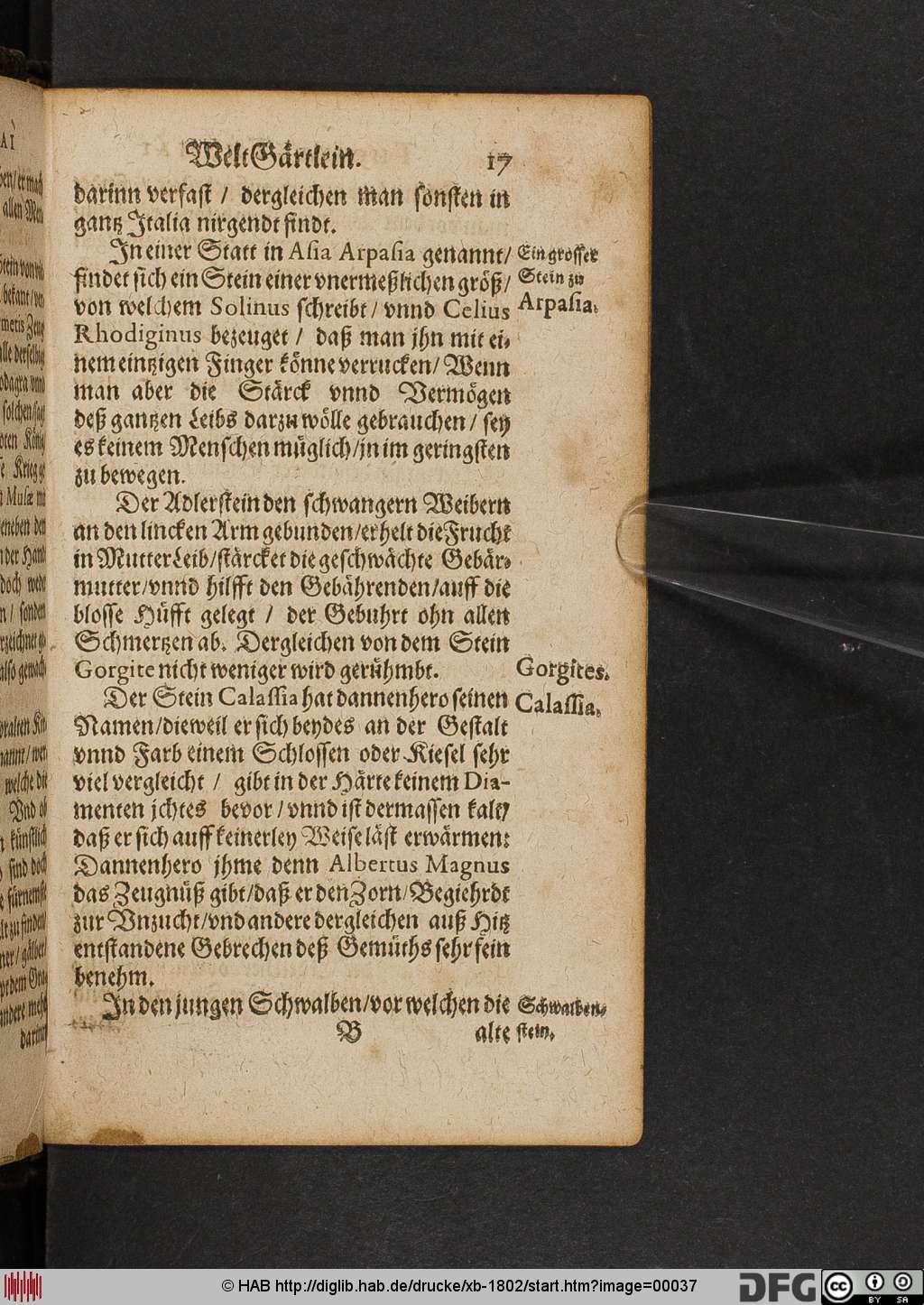 http://diglib.hab.de/drucke/xb-1802/00037.jpg