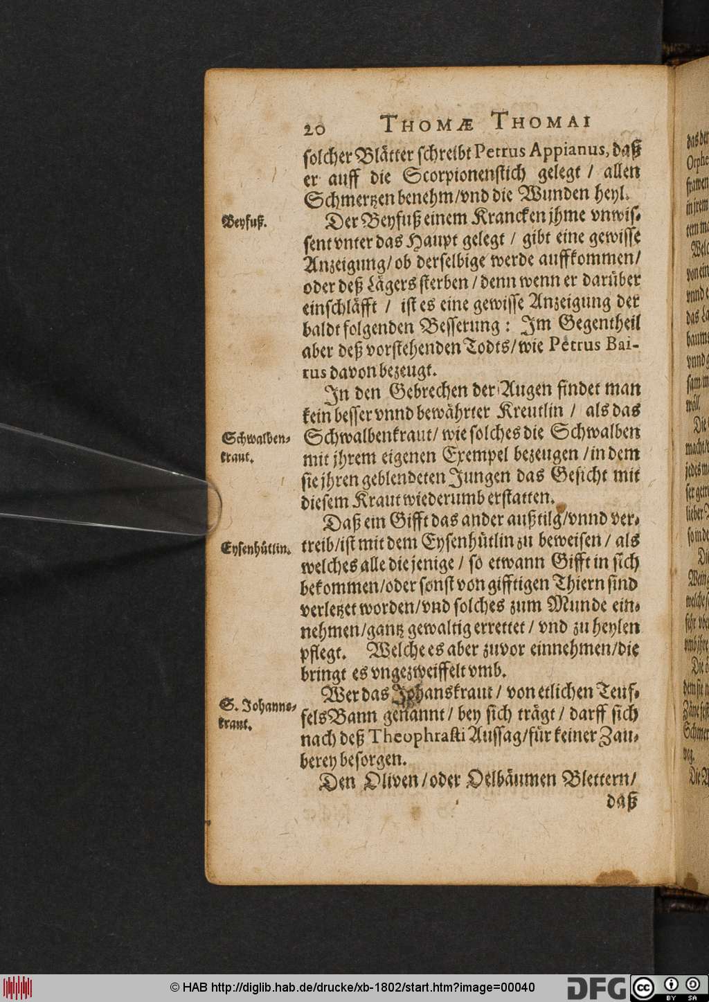 http://diglib.hab.de/drucke/xb-1802/00040.jpg
