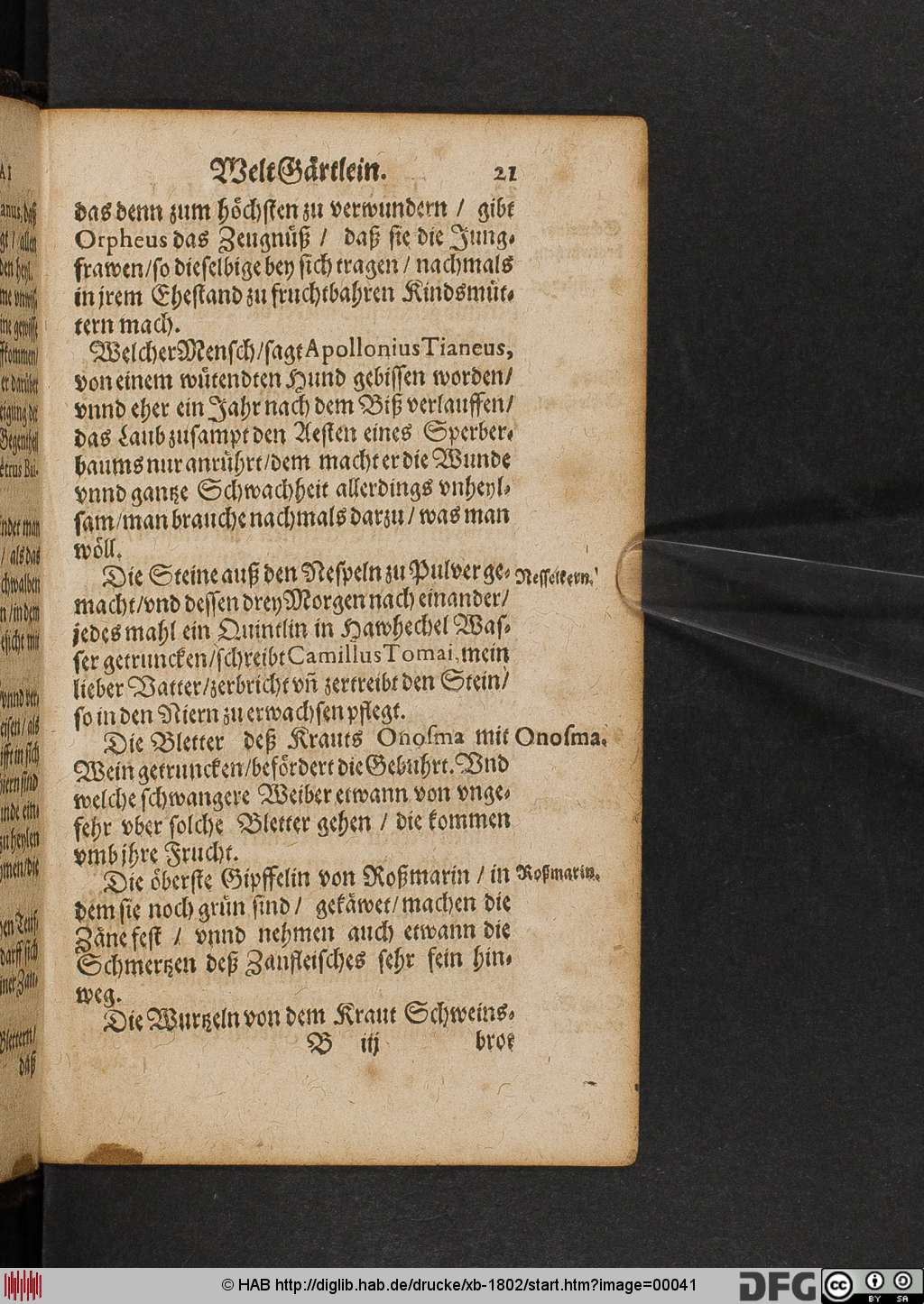 http://diglib.hab.de/drucke/xb-1802/00041.jpg