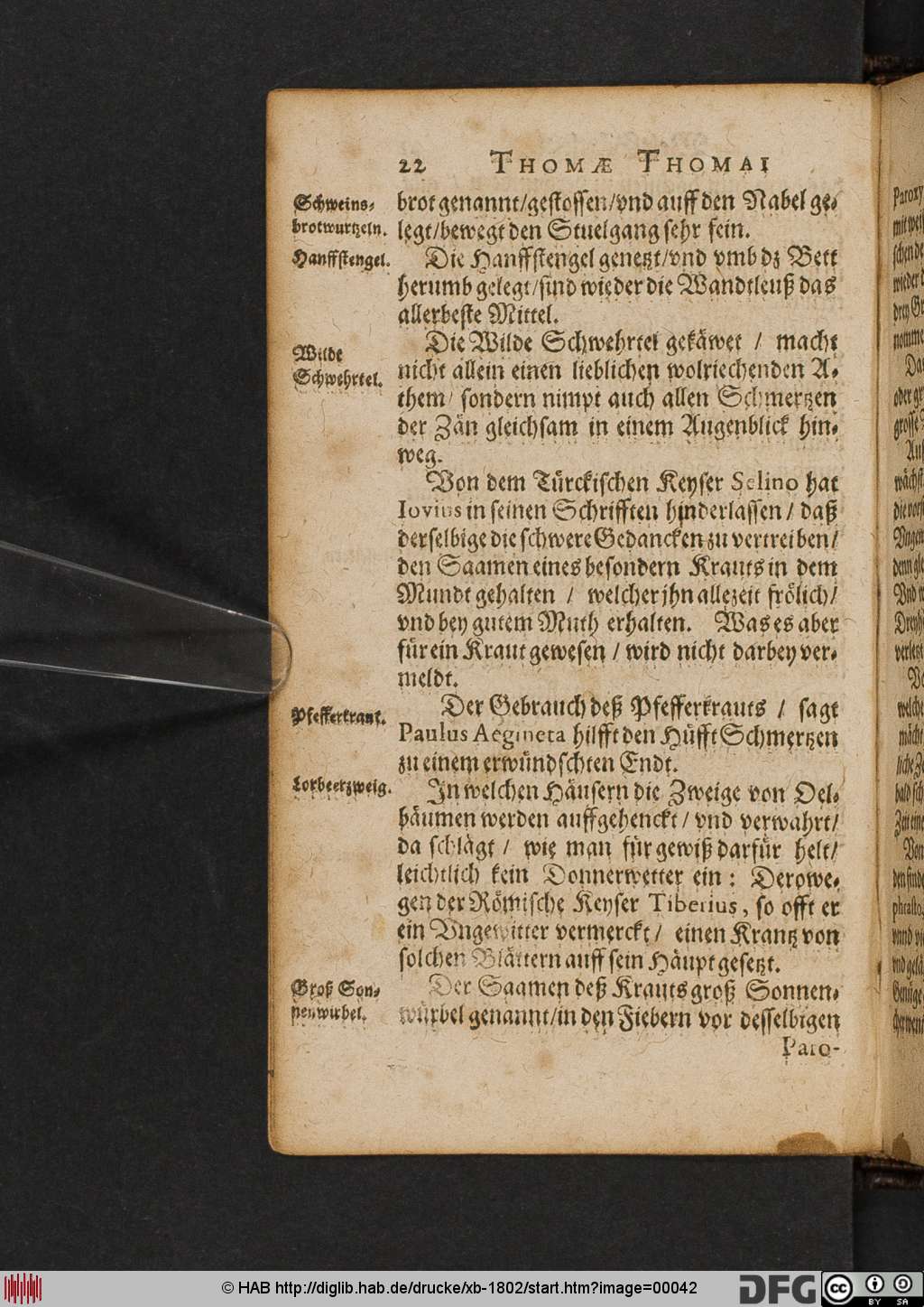 http://diglib.hab.de/drucke/xb-1802/00042.jpg