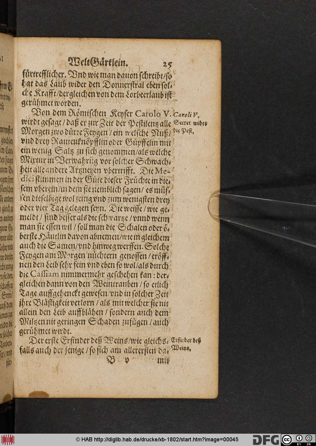 http://diglib.hab.de/drucke/xb-1802/00045.jpg