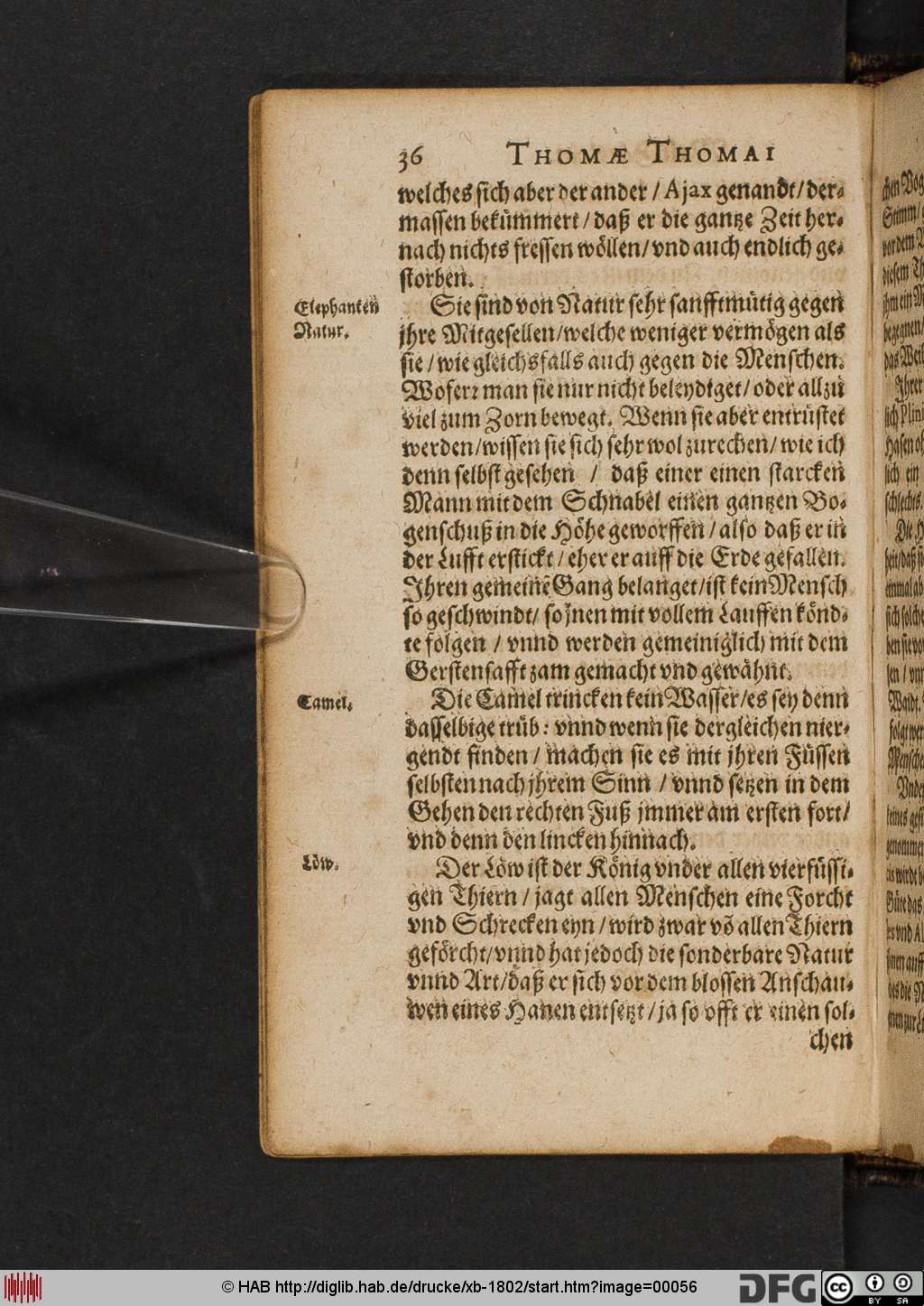 http://diglib.hab.de/drucke/xb-1802/00056.jpg