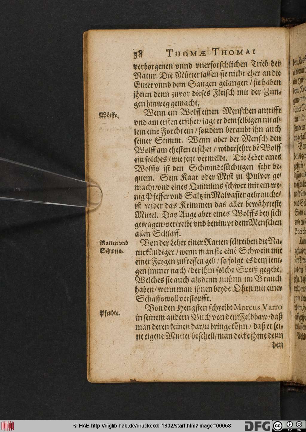 http://diglib.hab.de/drucke/xb-1802/00058.jpg